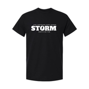 STORM SIGNATURE - COMFORT COLORS