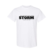 STORM SIGNATURE - COMFORT COLORS